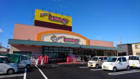 エブリィビッグデー　姫街道店