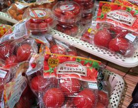 高リコピントマト ビッグ富士 静岡 美味しさ 安さ 新鮮さで食品流通の革命を